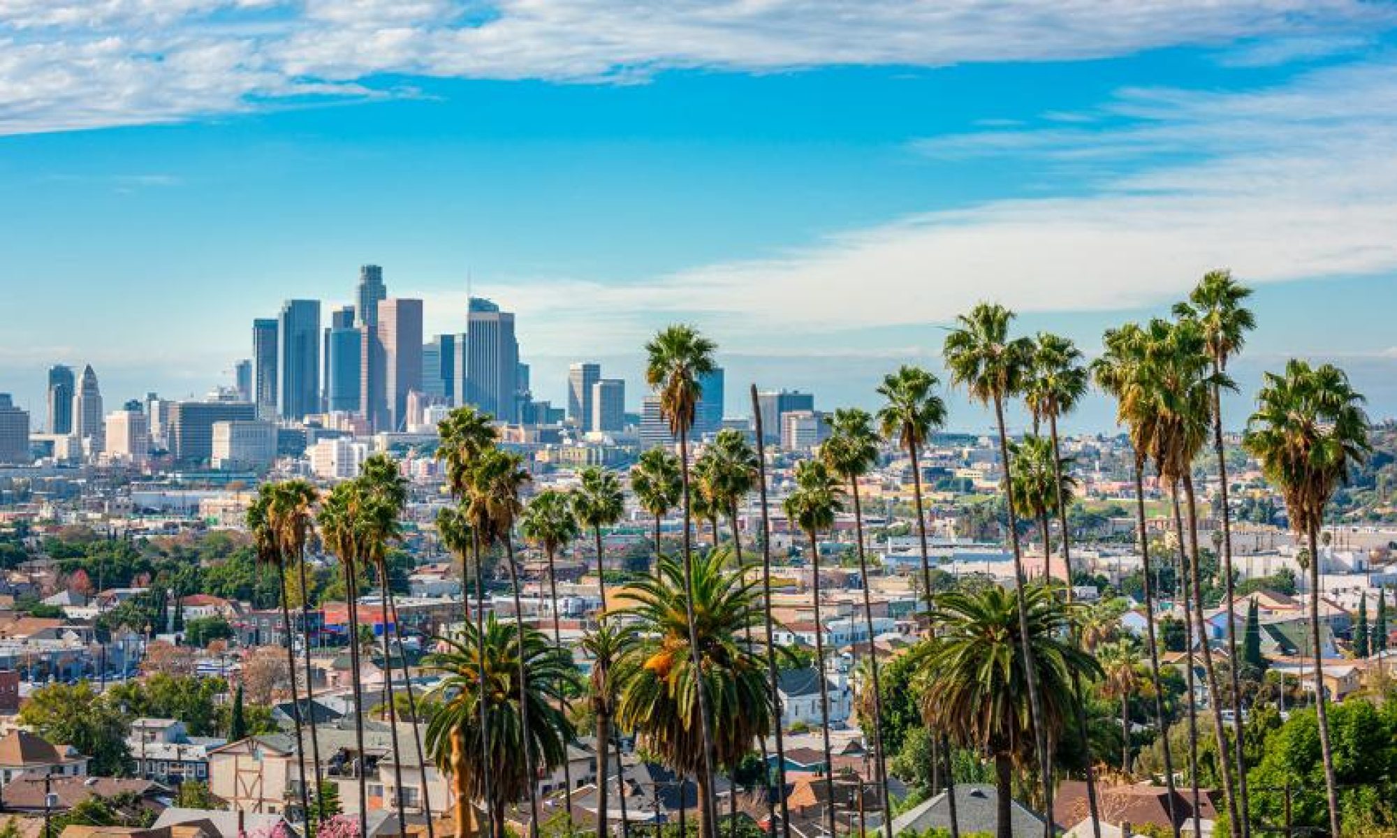 Picture of Los Angeles Downtown